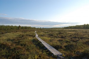kuva: tjsalo CC-BY